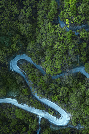 經(jīng)濟林及儲備林建設(shè)